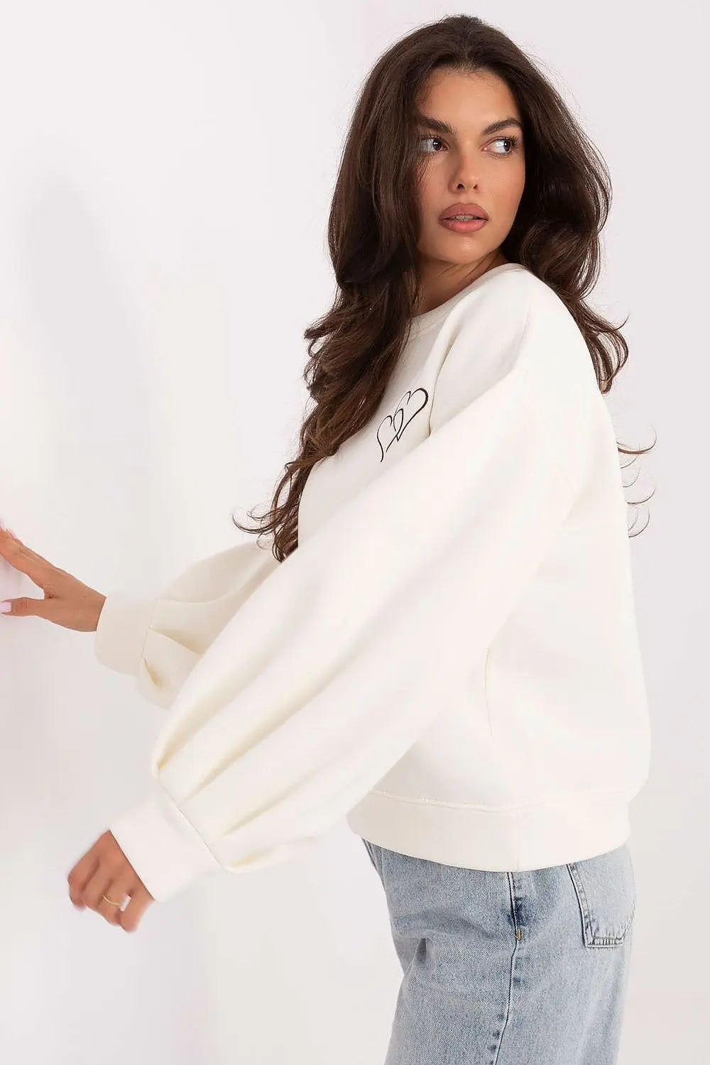  Sweatshirt model 218343 Factory Price 